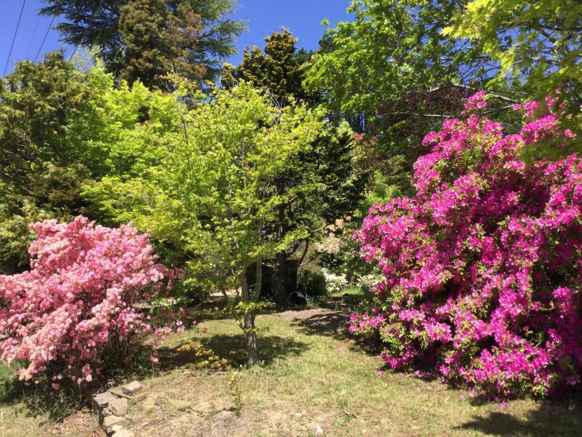 The Wentworth Retreat Wentworth Falls Exterior foto